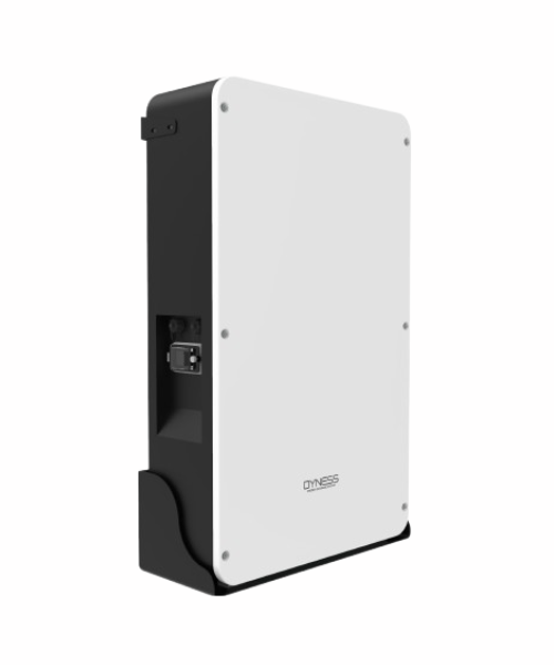 Dyness LV BX51100 Lithium Battery (6,000 Cycles, 7-Year Warranty)